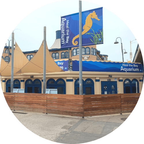 Aquarium Heal the Bay