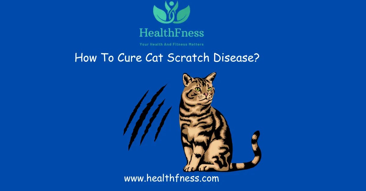 How To Cure Cat Scratch Disease? A Comprehensive Guide HealthFness