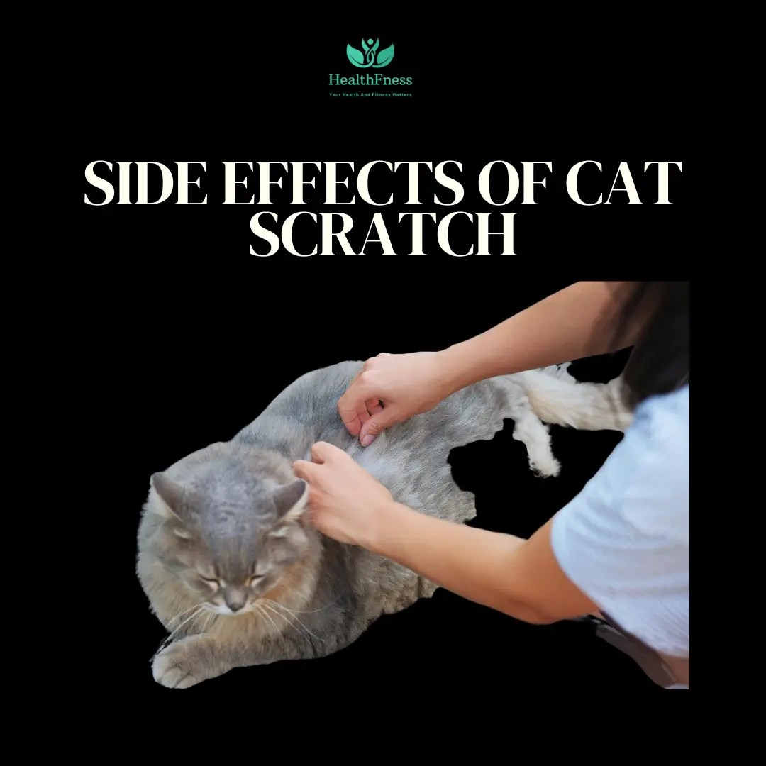 Side Effects of Cat Scratch Understanding the Risks and Precautions