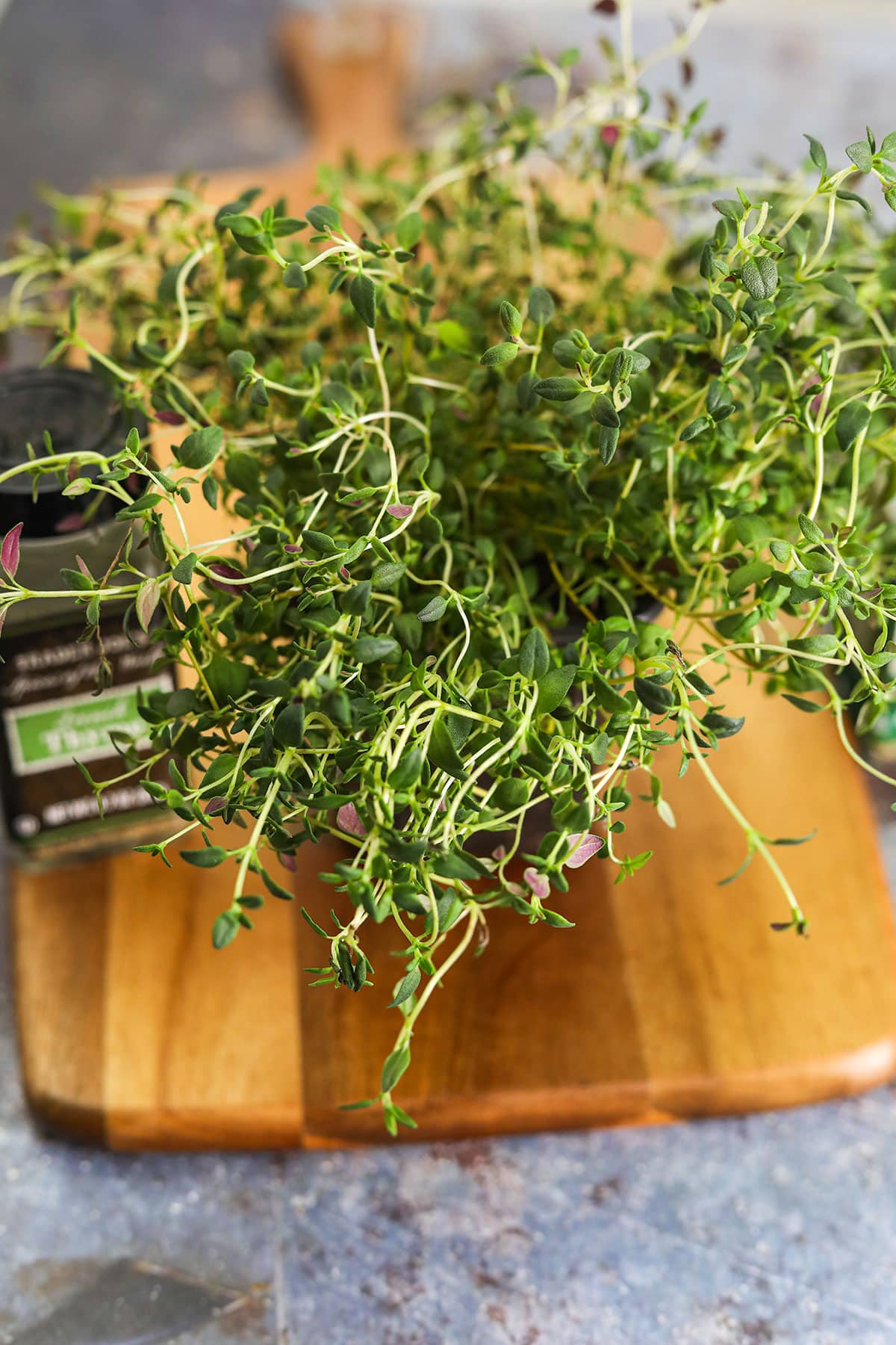 Substitute For Thyme Healthier Steps