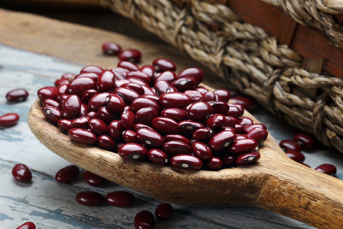 Top 5 Best Beans to Eat Healthier Steps