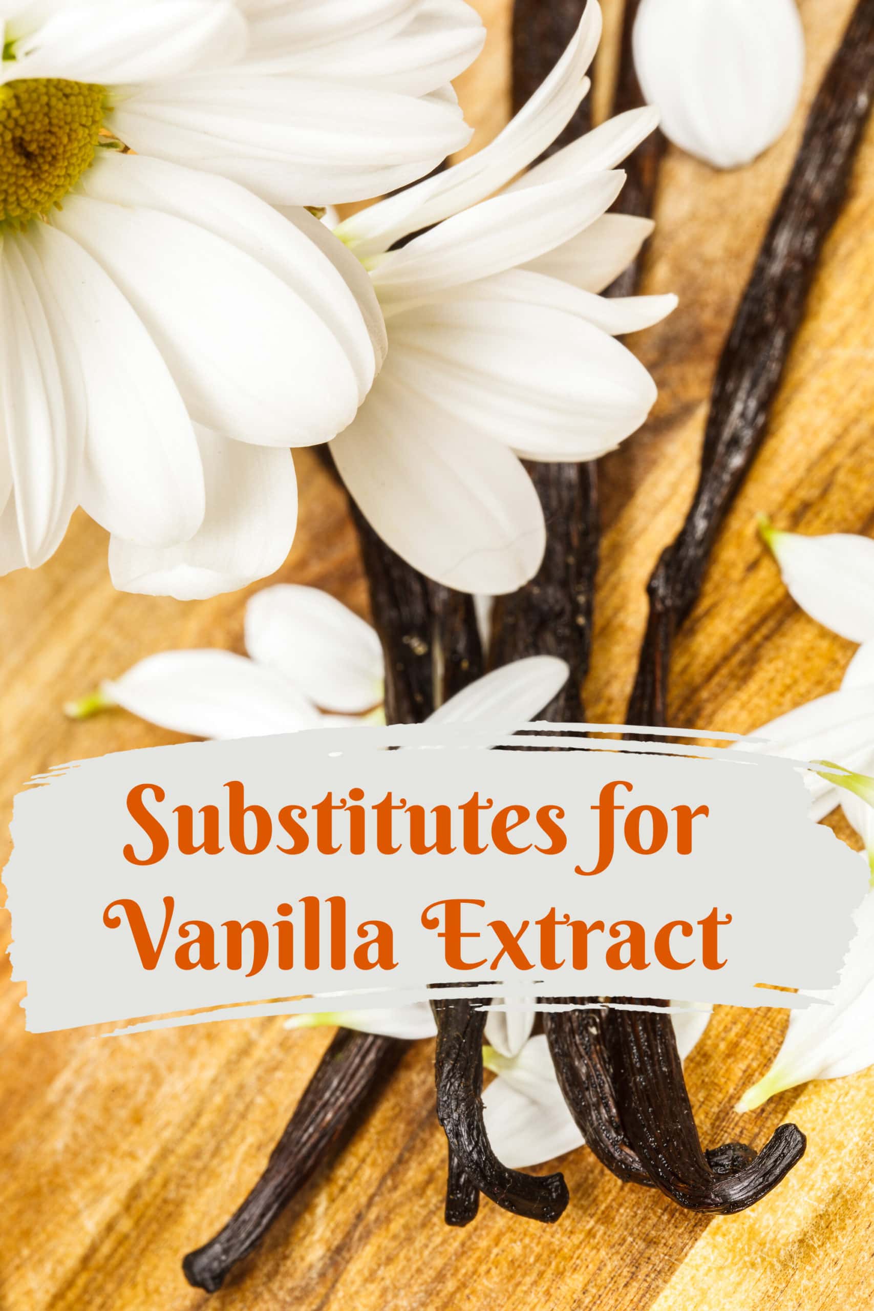 Substitute for vanilla extract tiklovalues