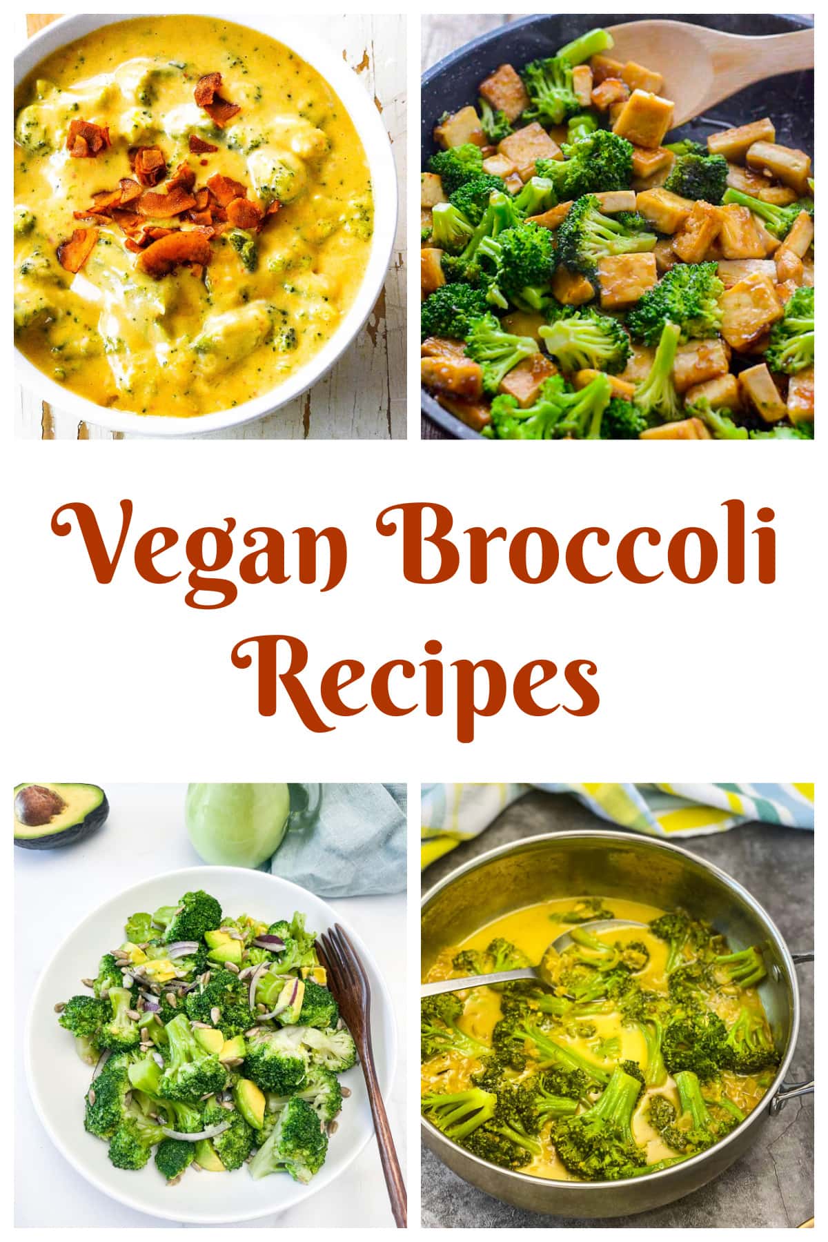 Vegan Broccoli Recipes Healthier Steps
