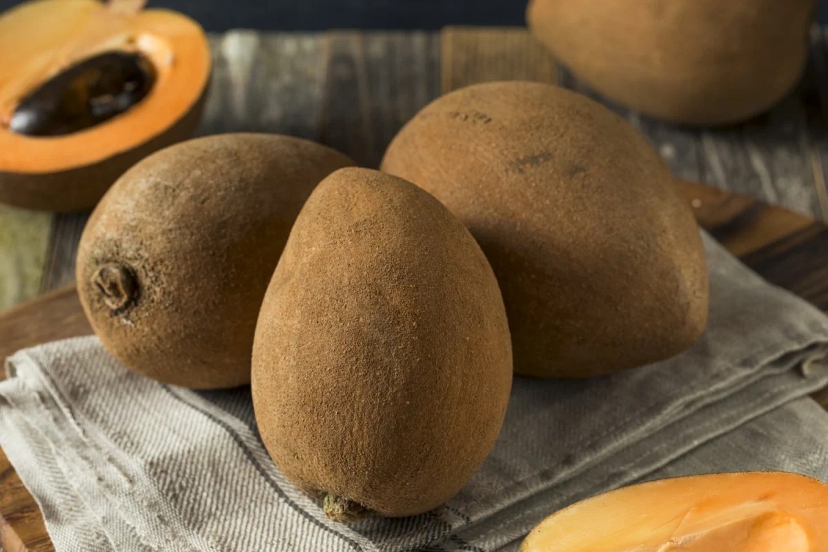Mamey Sapote Health Benefits