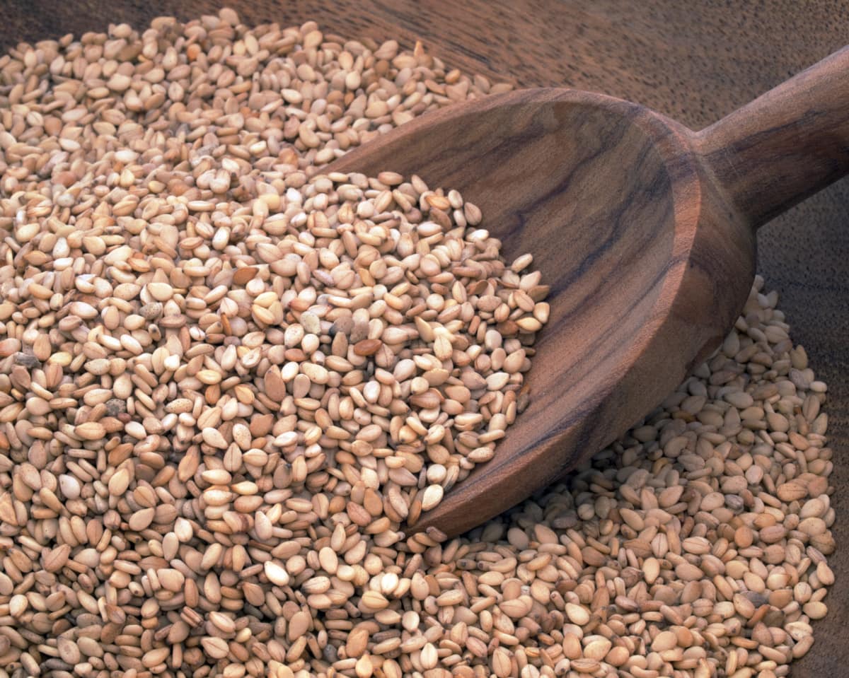 8 Amazing Benefits of Sesame Seeds Healthier Steps