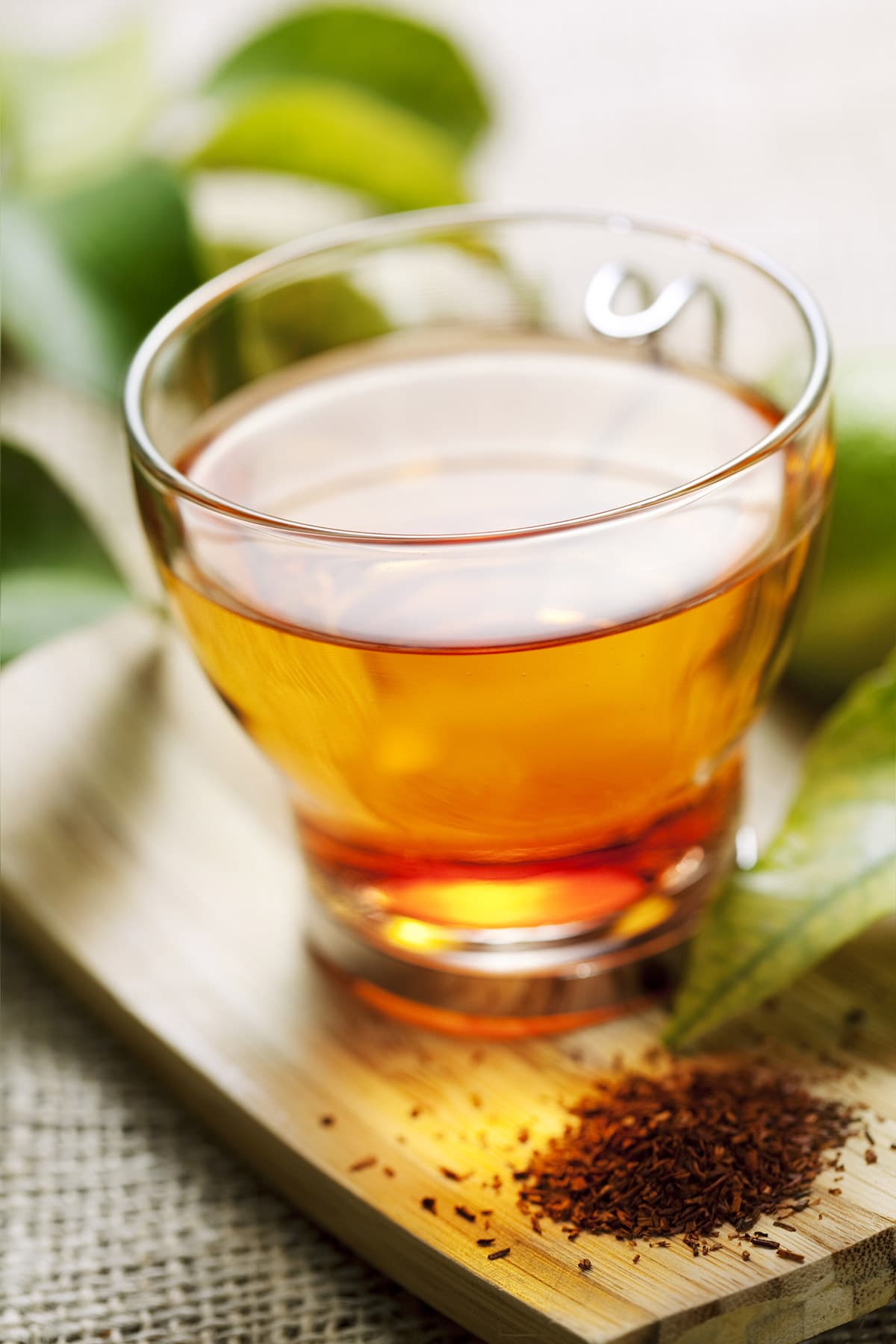 Rooibos Tea Benefits Healthier Steps
