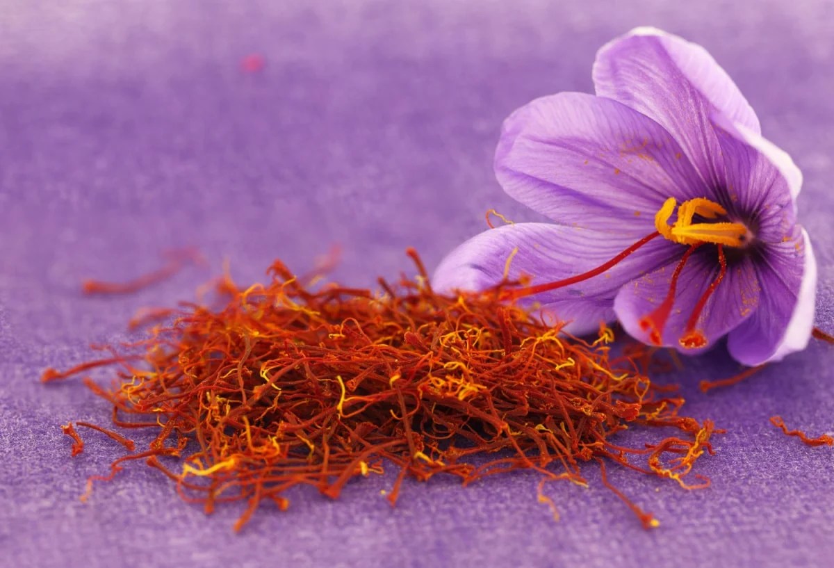 Saffron Tea Healthier Steps