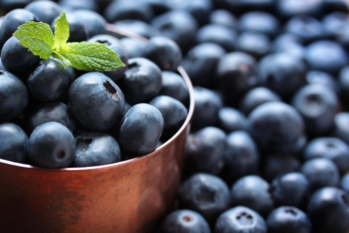 The Benefits of Blueberries Healthier Steps