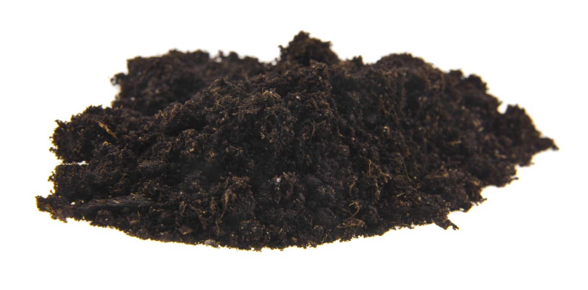 Coffee Grounds Compost Healthier Steps