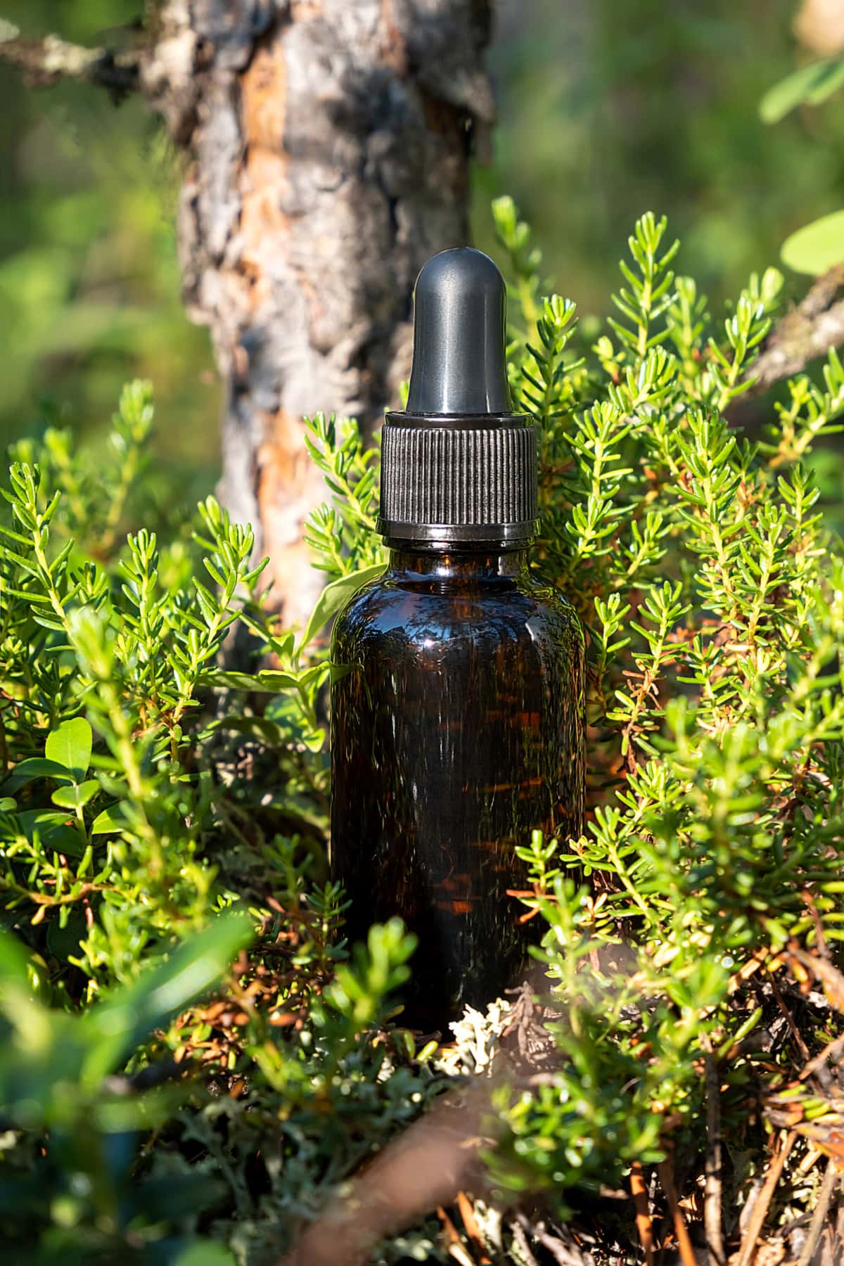 Can You Use Niacinamide With Vitamin C? Healthier Steps