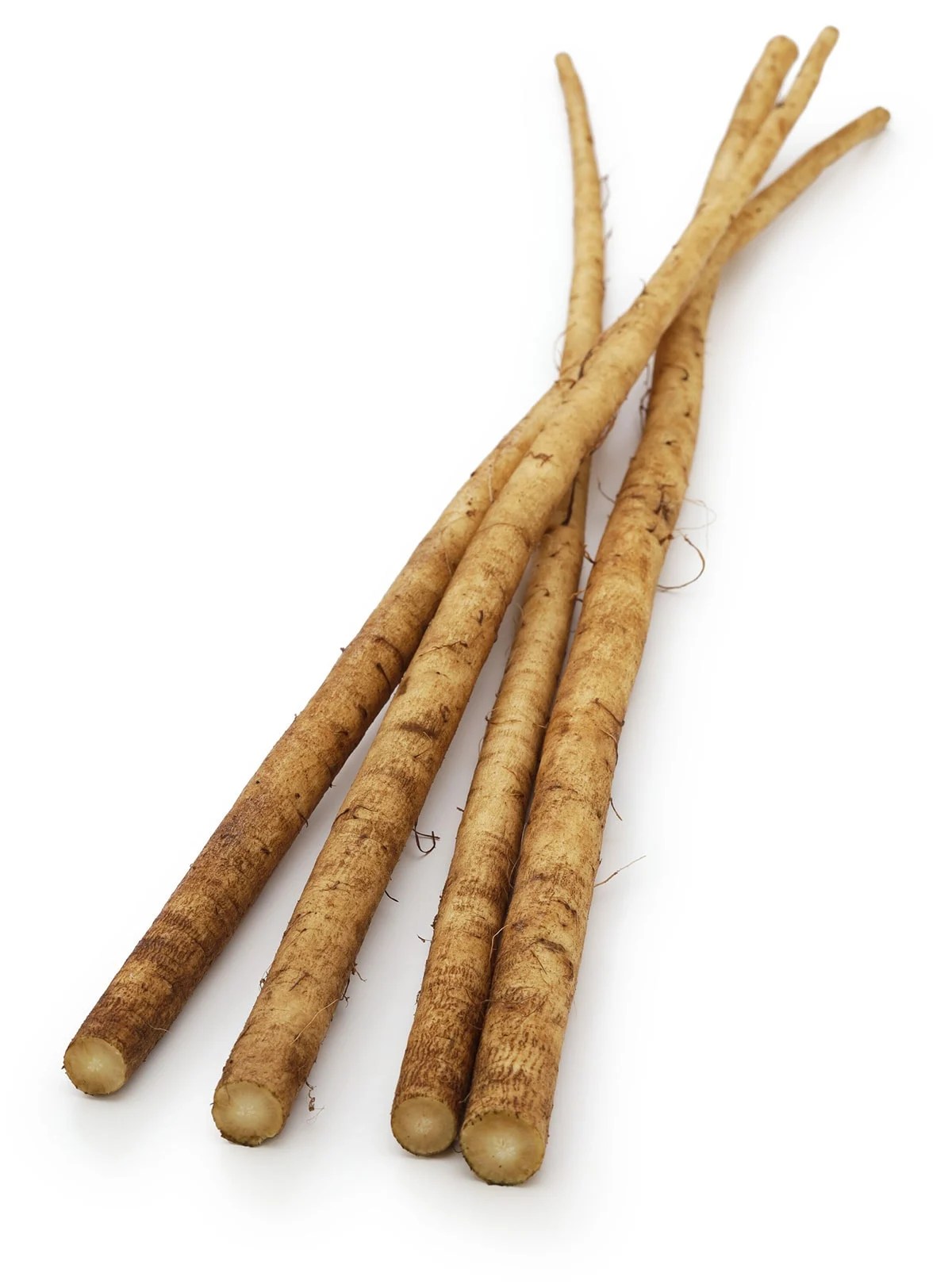 Health Benefits of Burdock Root Healthier Steps