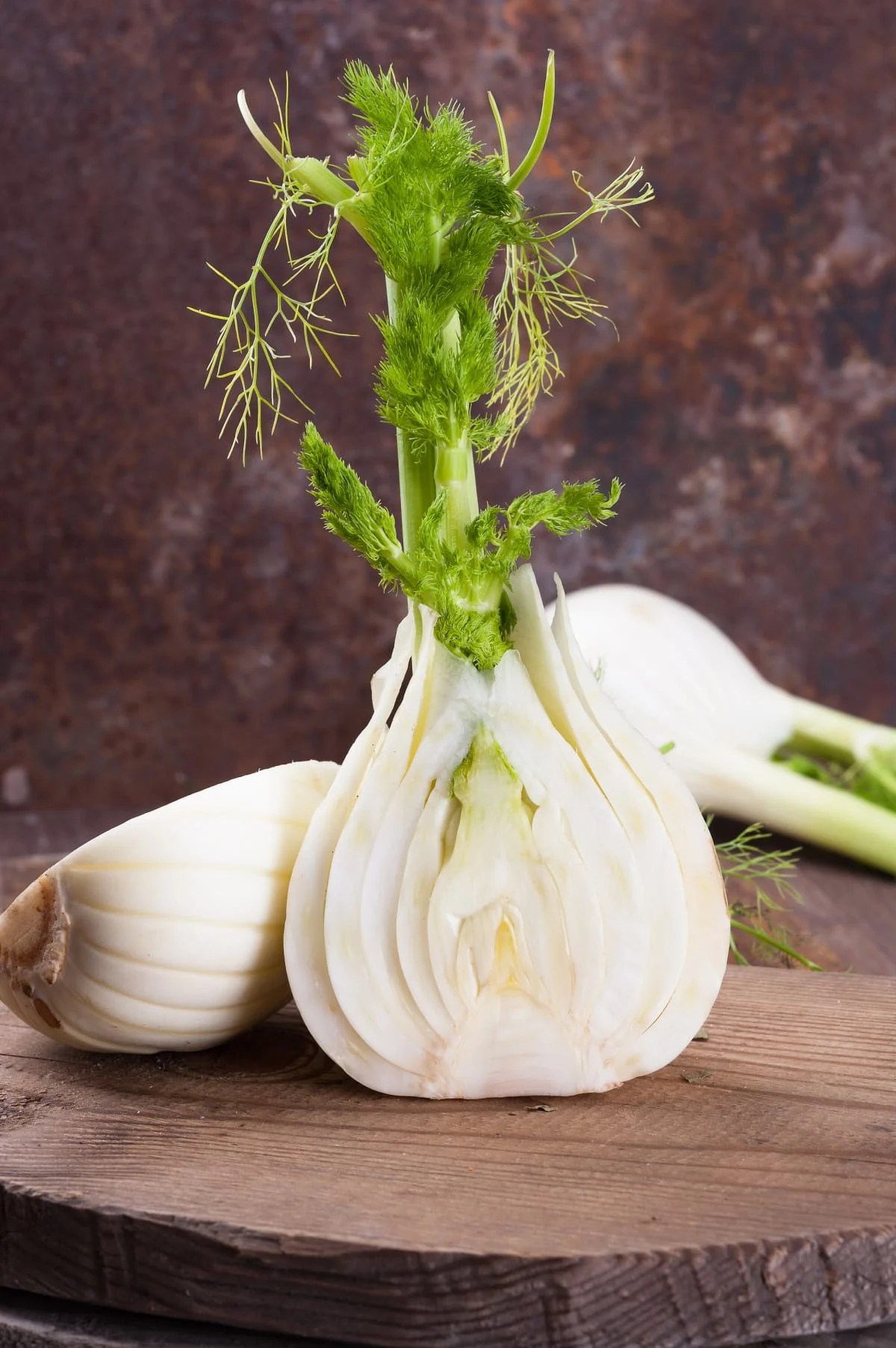 How to Grow Fennel Healthier Steps