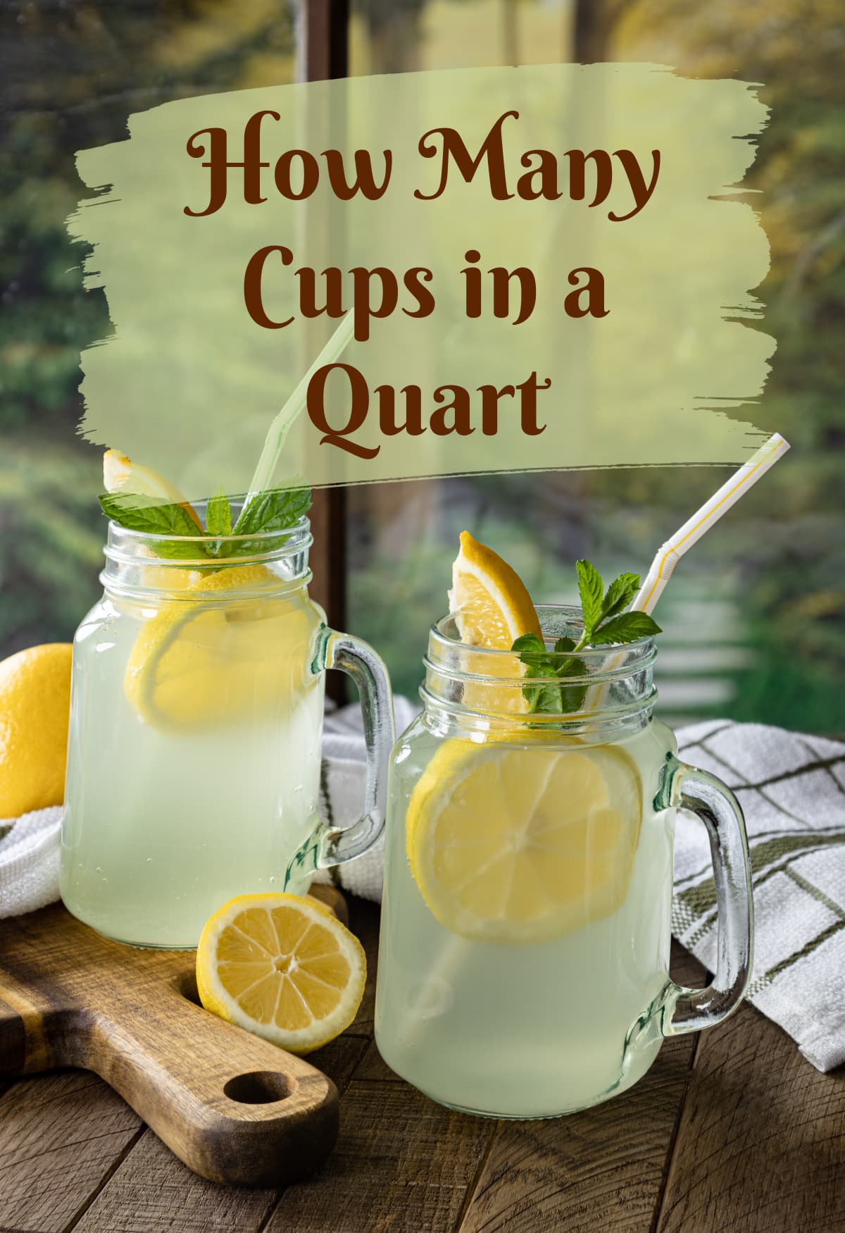 How Many Lemons For 1 Liter Of Water at Crystal Crowe blog