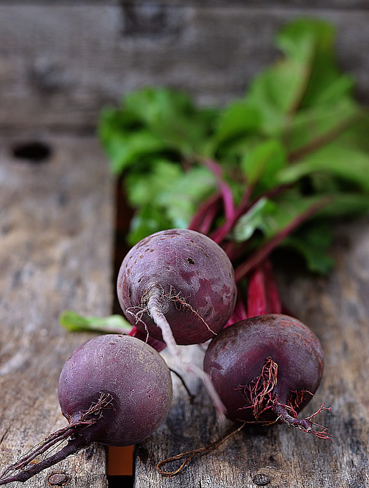 How to Grow Beets Healthier Steps