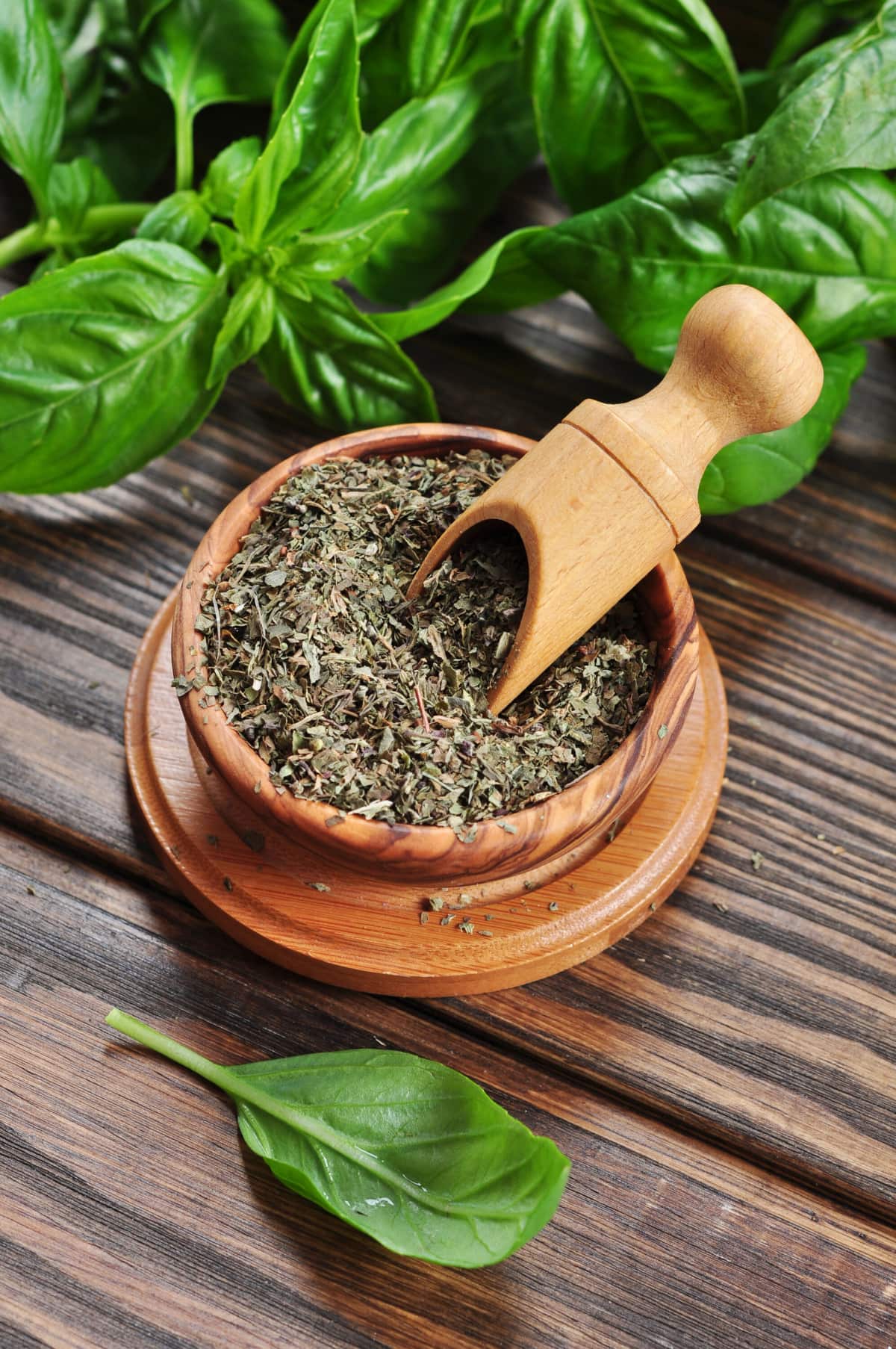 How to Dry Basil? Healthier Steps