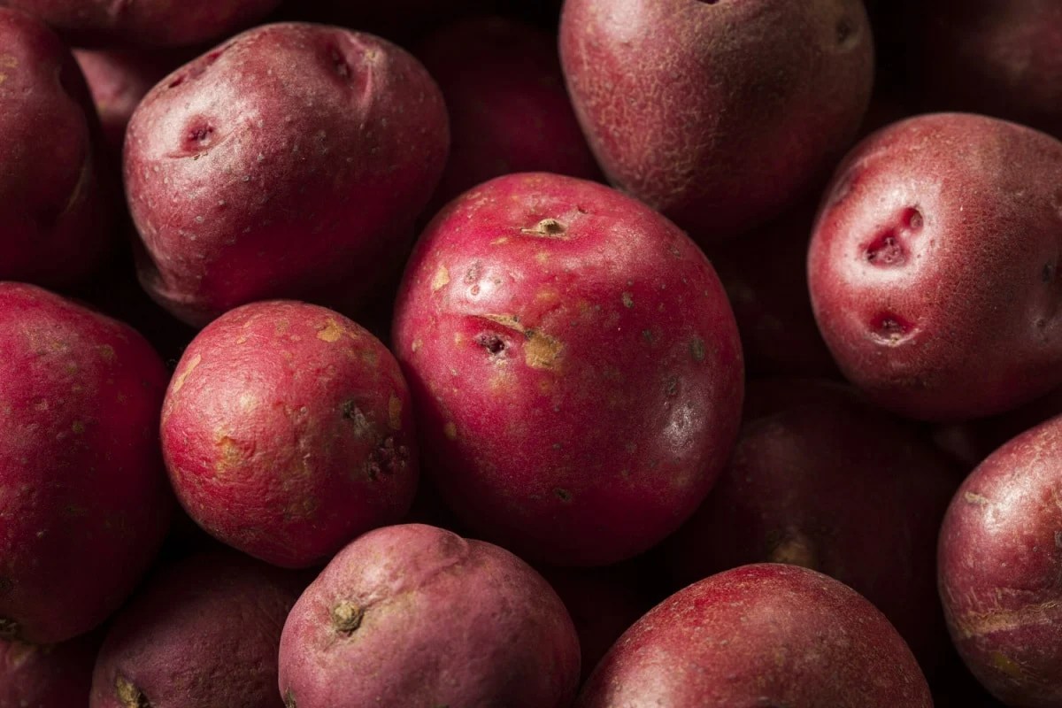 Benefits of Red Potatoes Healthier Steps