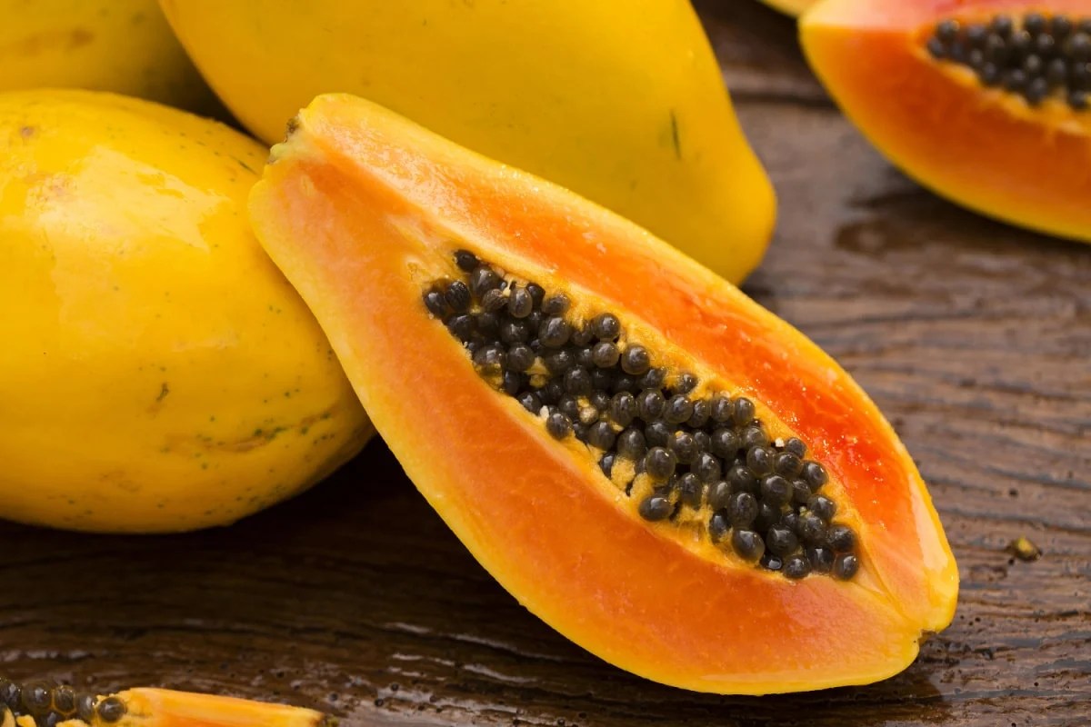 Top 10 Benefits of Papaya Seeds Healthier Steps