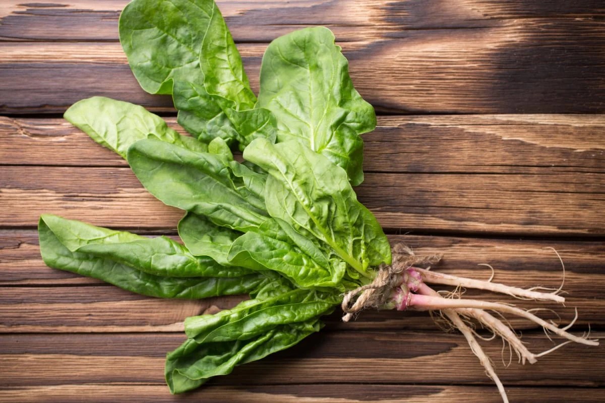 Best Vegetables for Arthritis Healthier Steps