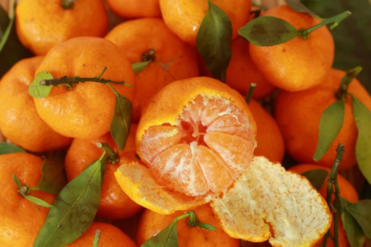 Clementine vs Mandarin Healthier Steps