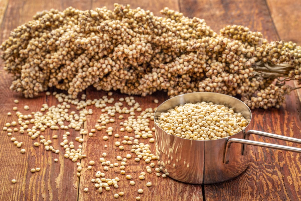 8 Amazing Health Benefits of Flour Healthier Steps