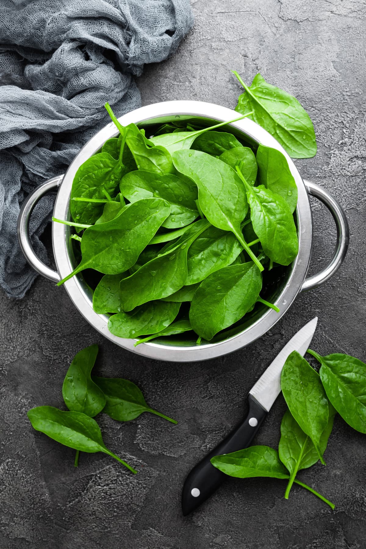 How Many Carbs in Spinach? Healthier Steps