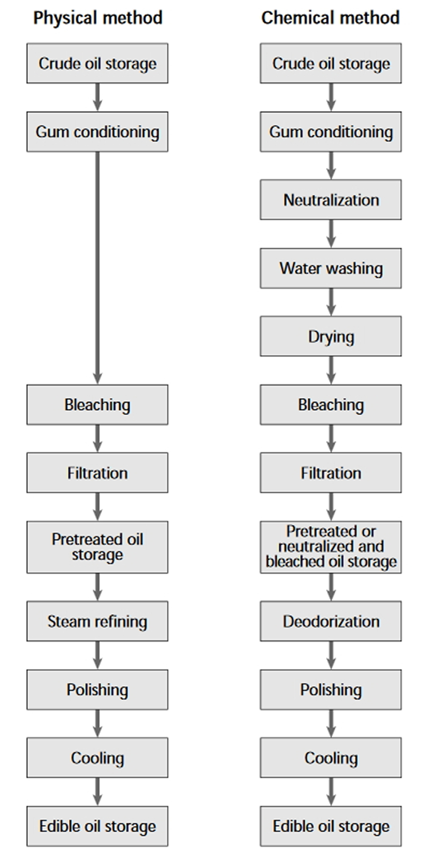 What is Palm Oil and Kernel Oil Is It Bad for Your Health?