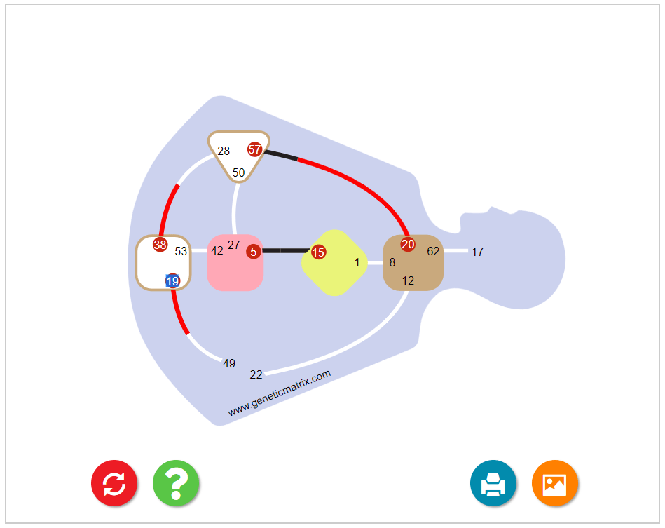 Human Design Tools Health Manifested