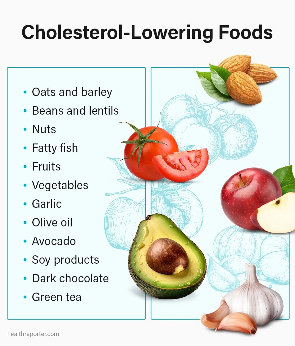 Cholesterol 101 ScienceBased Insights Health Reporter