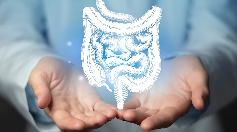 How Long Do Probiotics Stay in Your System? Health Reporter