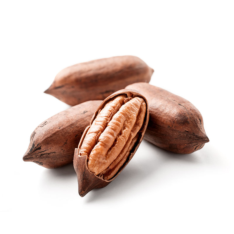 Are Pecans Keto? HealthReporter