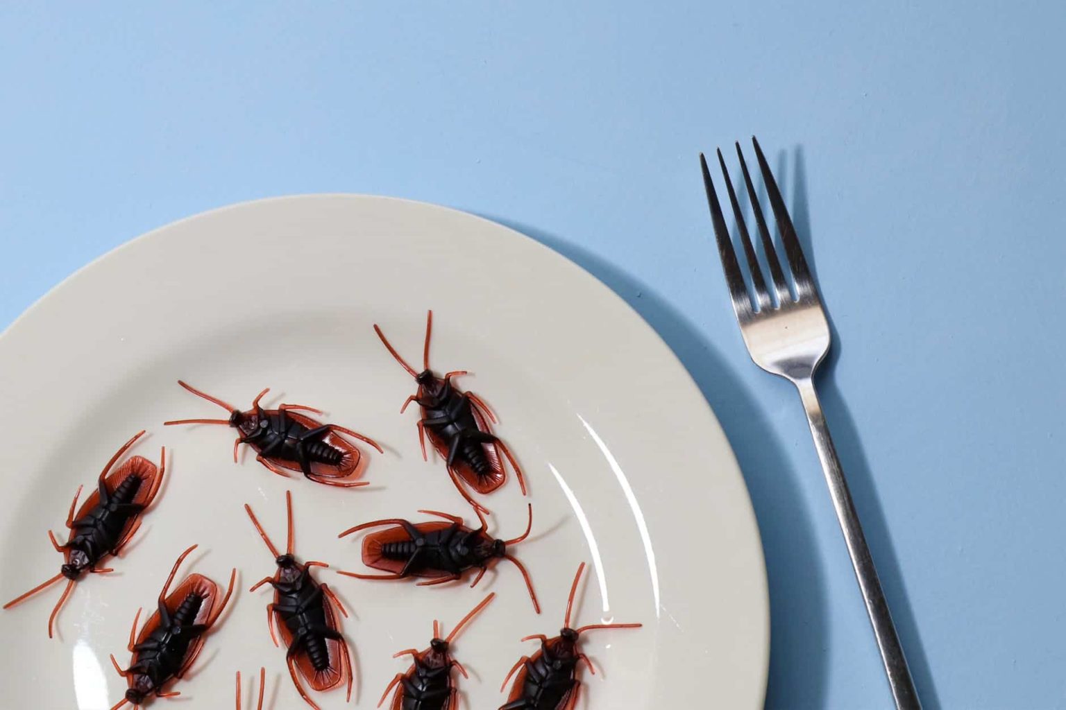 10 Dangerous Diseases Spread by Cockroaches and Their Symptoms