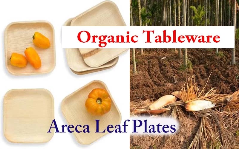 Over 50 of population don’t have access to Organic Tableware Survey