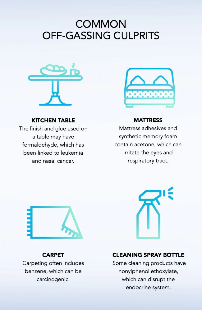 Top 10 Reasons Why Your Home Smells