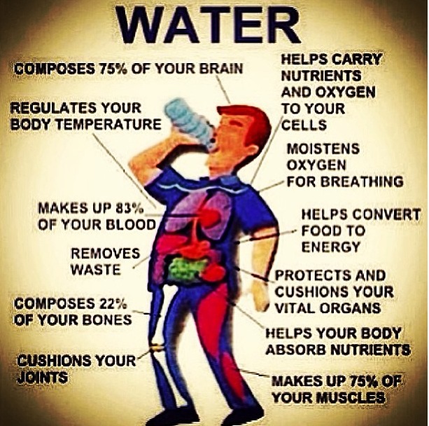 The Importance and Benefits of Hydration Health and the Human Experience