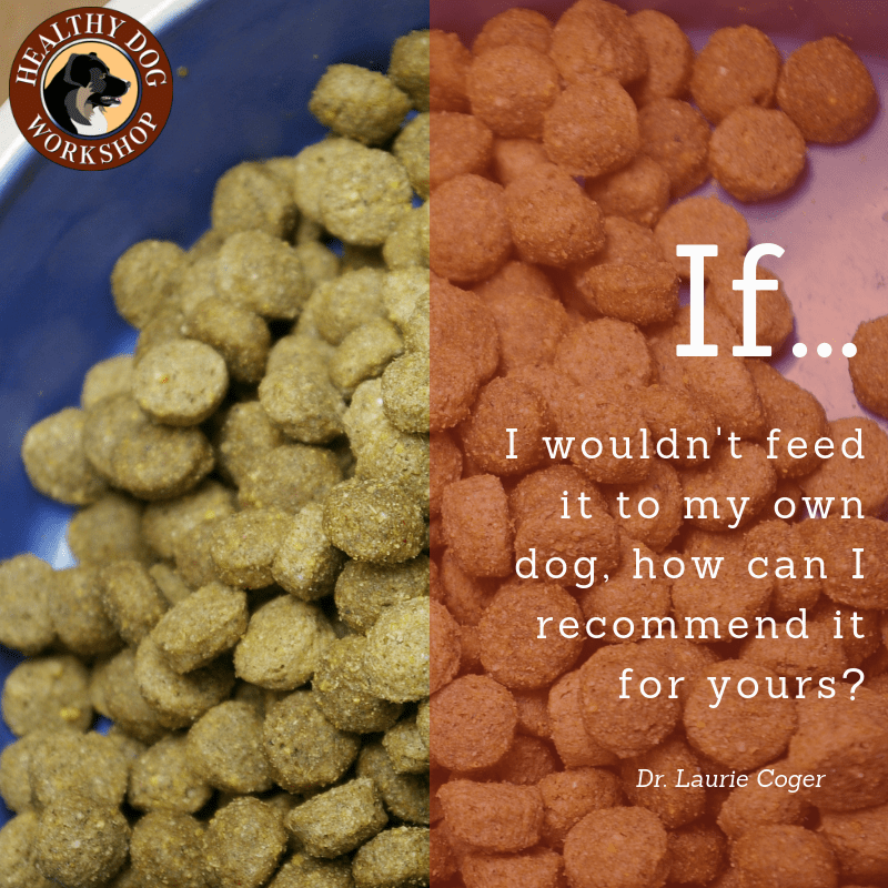 Food Fit for a Dog The Healthy Dog