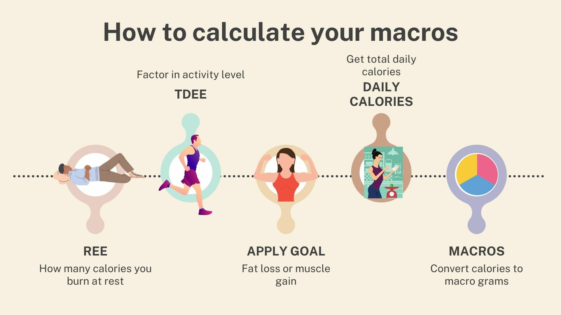 The Formula to Calculate Your Macros and REE Accurately