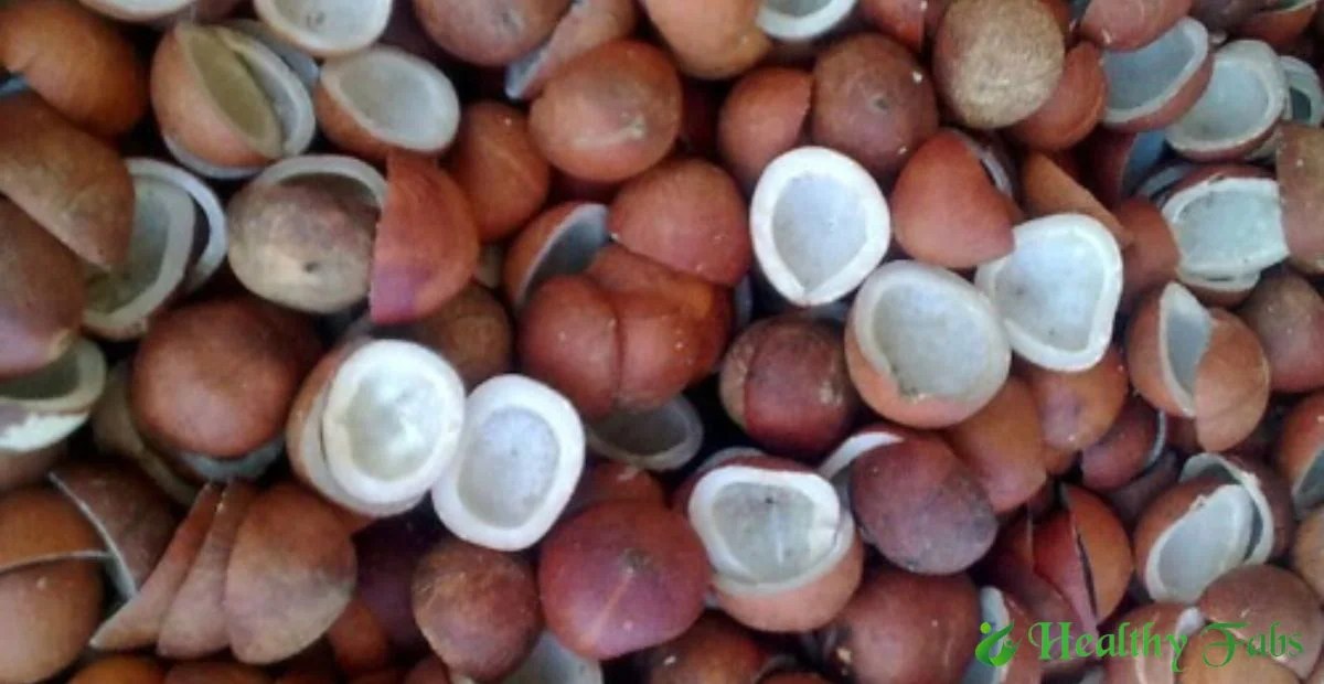 Top 12 Health And Nutrition Benefits Of Dry Coconut Sep Healthy Fabs