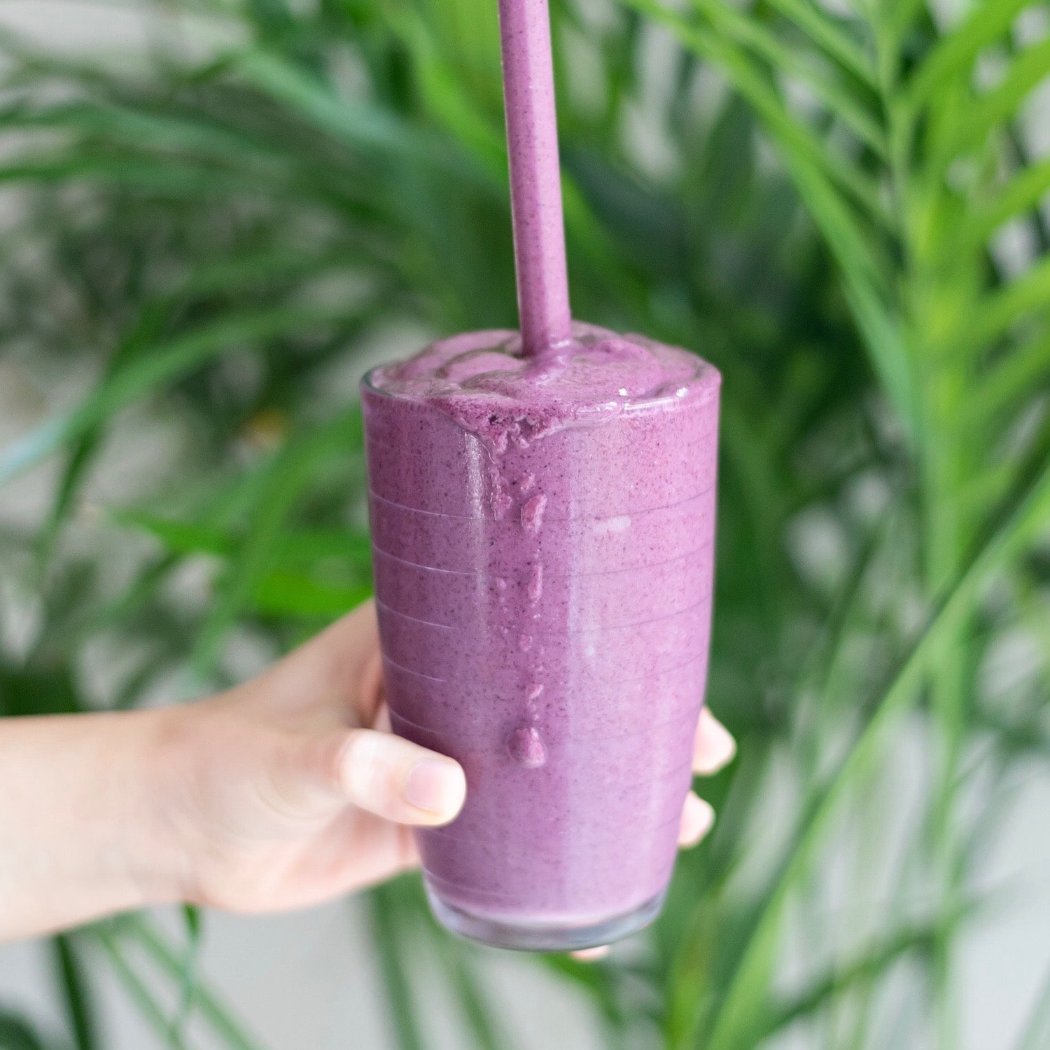 Antioxidant Superfood Smoothie (Vegan/GF) HealthyGirl Kitchen