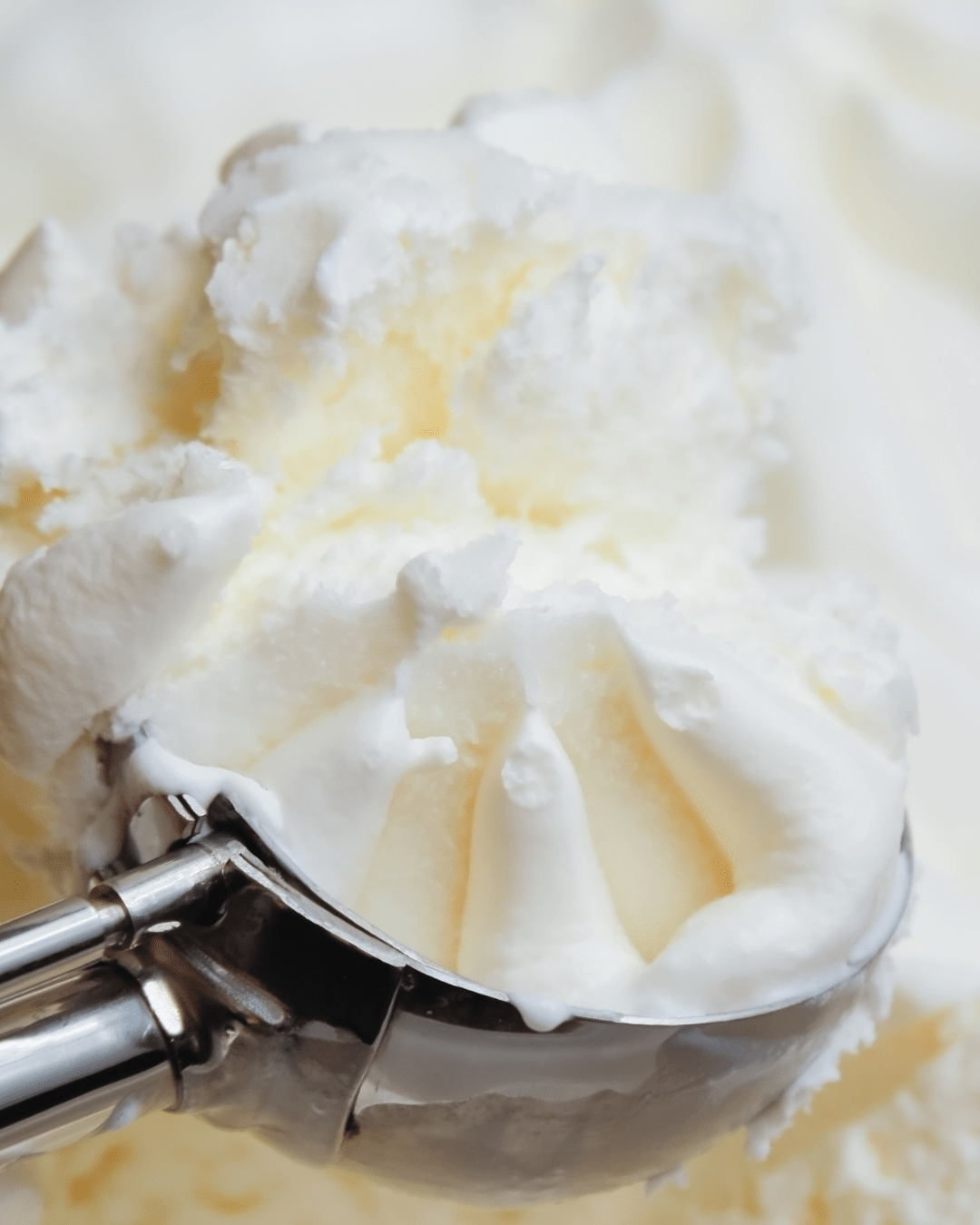 The Best EVER Easy KETO GlutenFree Protein Ice Cream Top Globe News