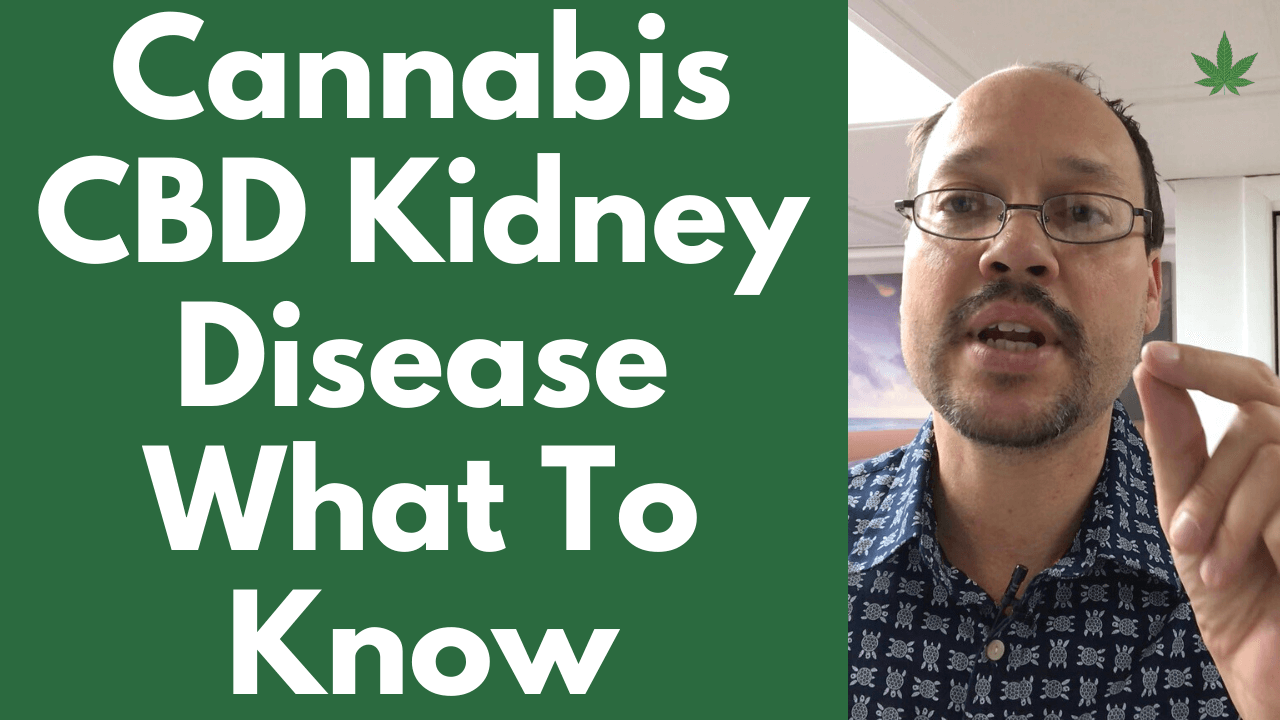 Cannabis and Kidney Disease CBD And Marijuana Does It Help?