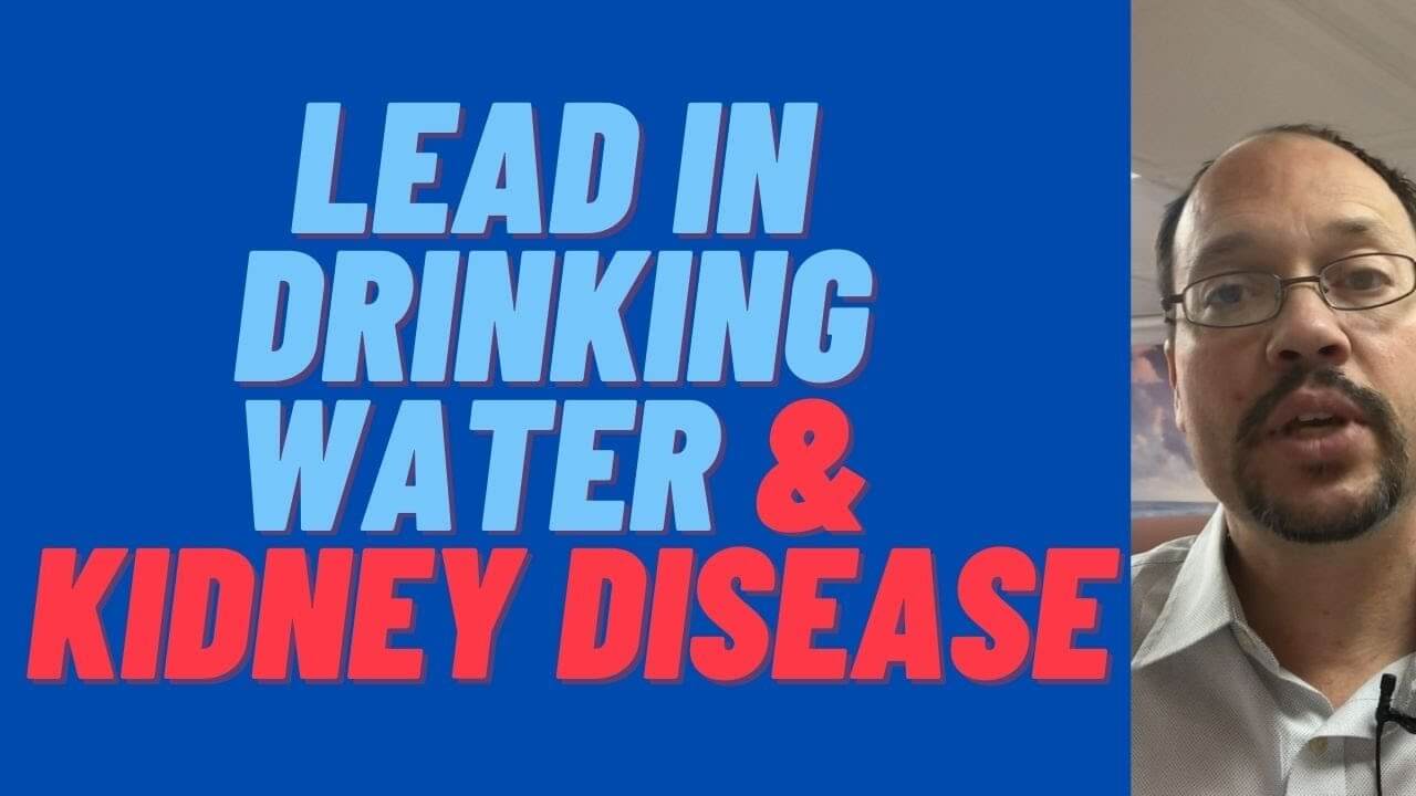 Water And Kidney Disease How Lead Levels Affect Kidney Function