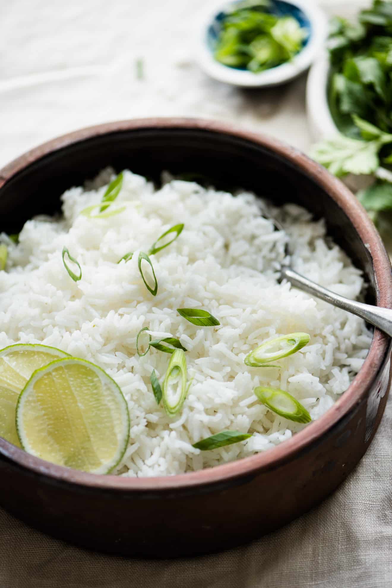 Coconut Rice 2 Healthy Nibbles