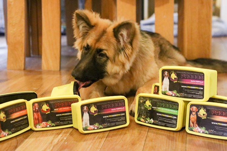 ProDog Raw Food To Help Your FourLegged Friend Thrive Healthy Pet