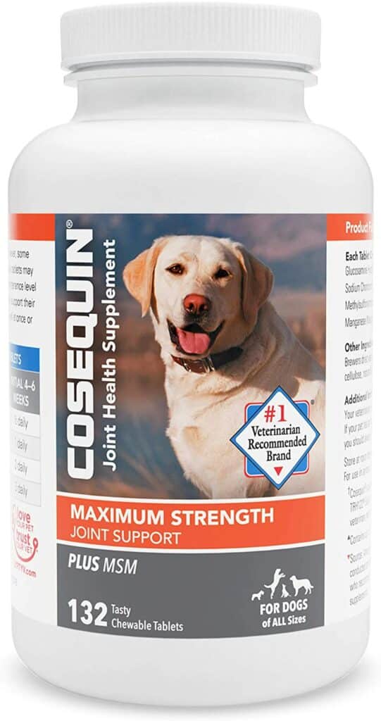 Top 6 Best Glucosamine Supplements For Dogs In 2022 Healthy Solutions