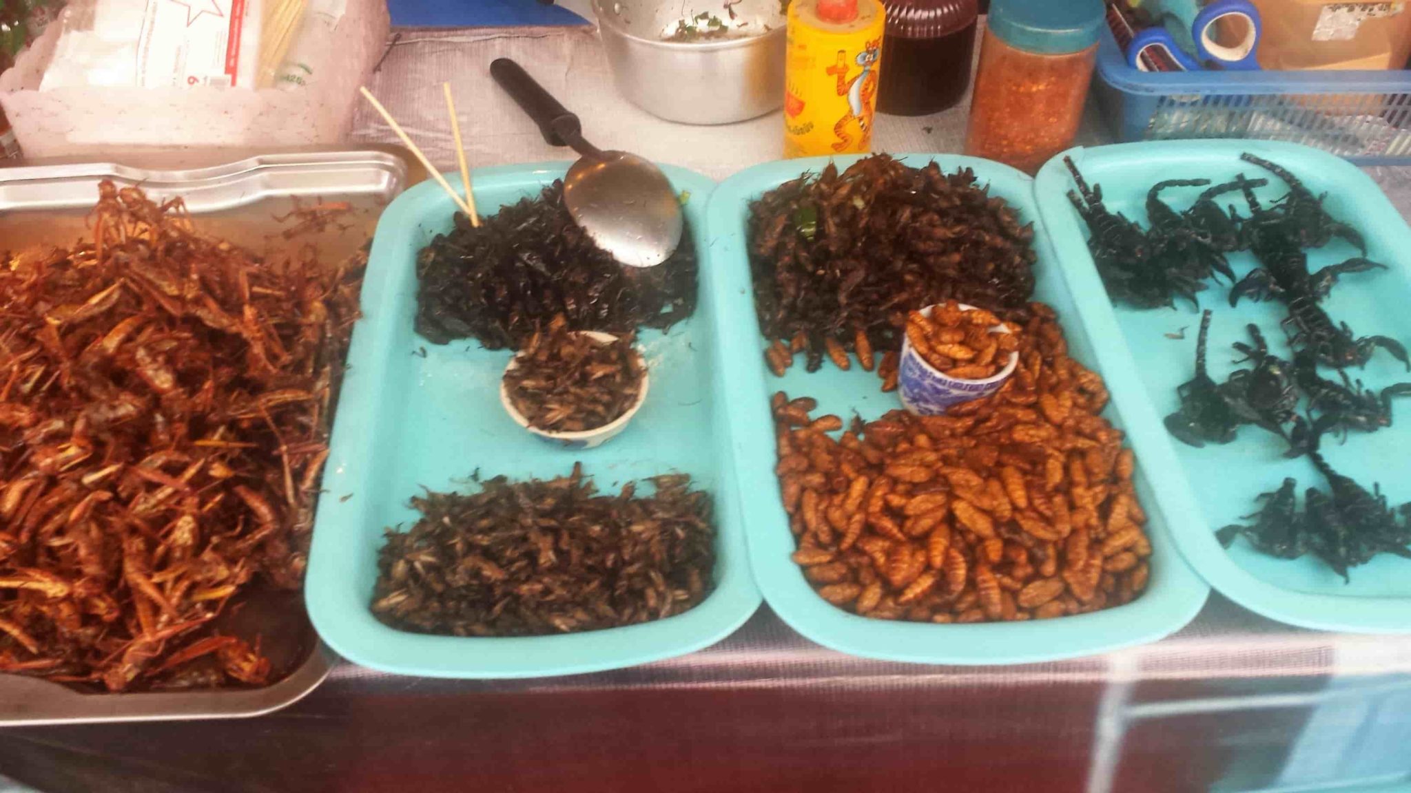 Using Bugs In Recipes, A Healthy Thai Tradition Healthy Thai Recipes