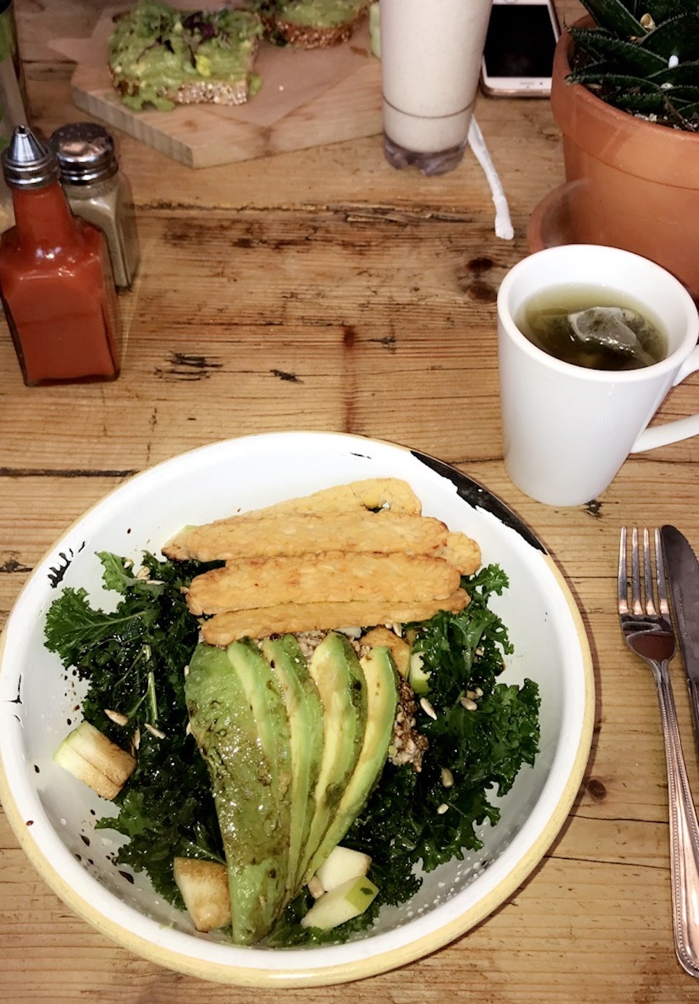 The Best Vegan Restaurants In NYC Healthy with Nedi