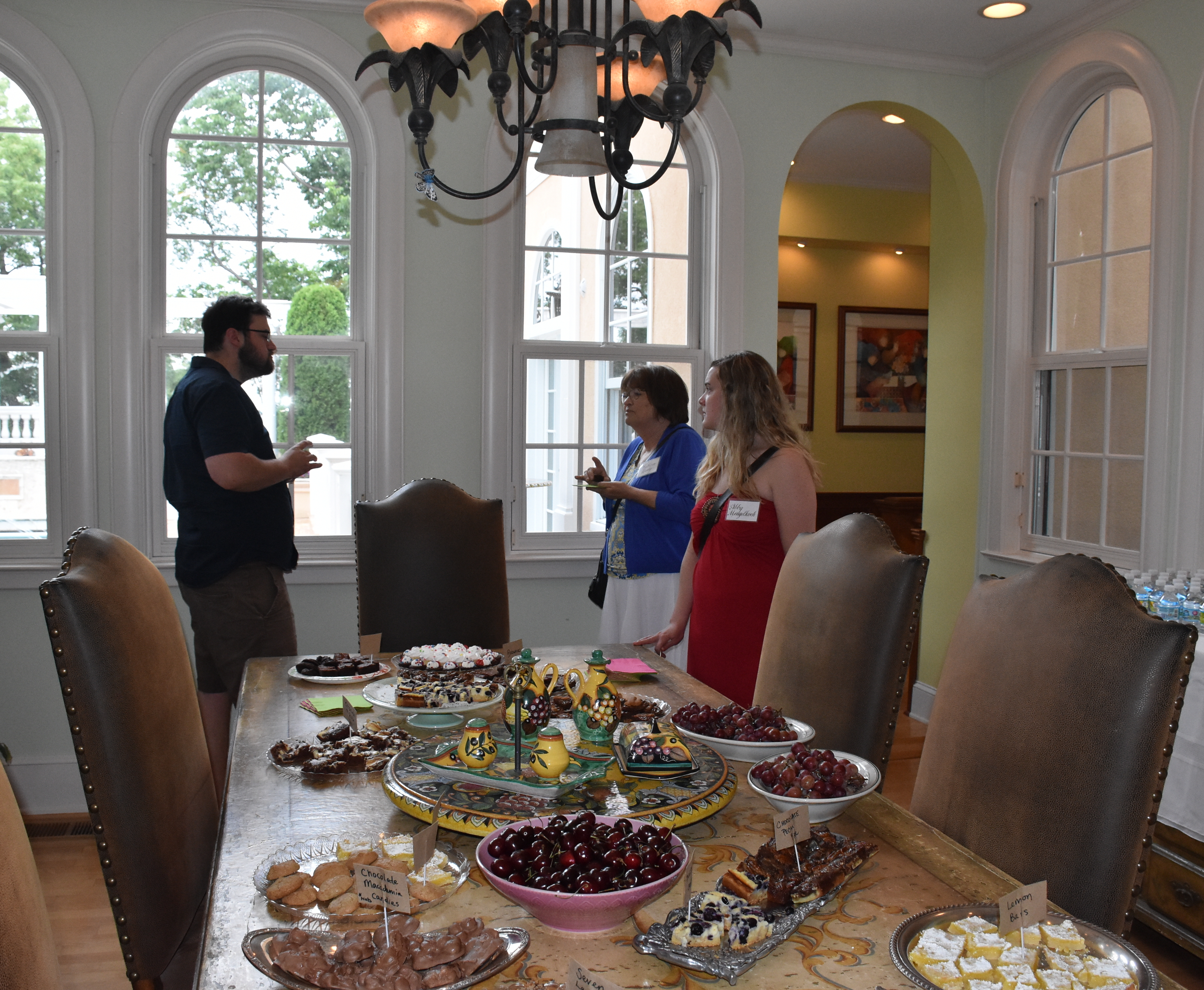 healys The Healy Project