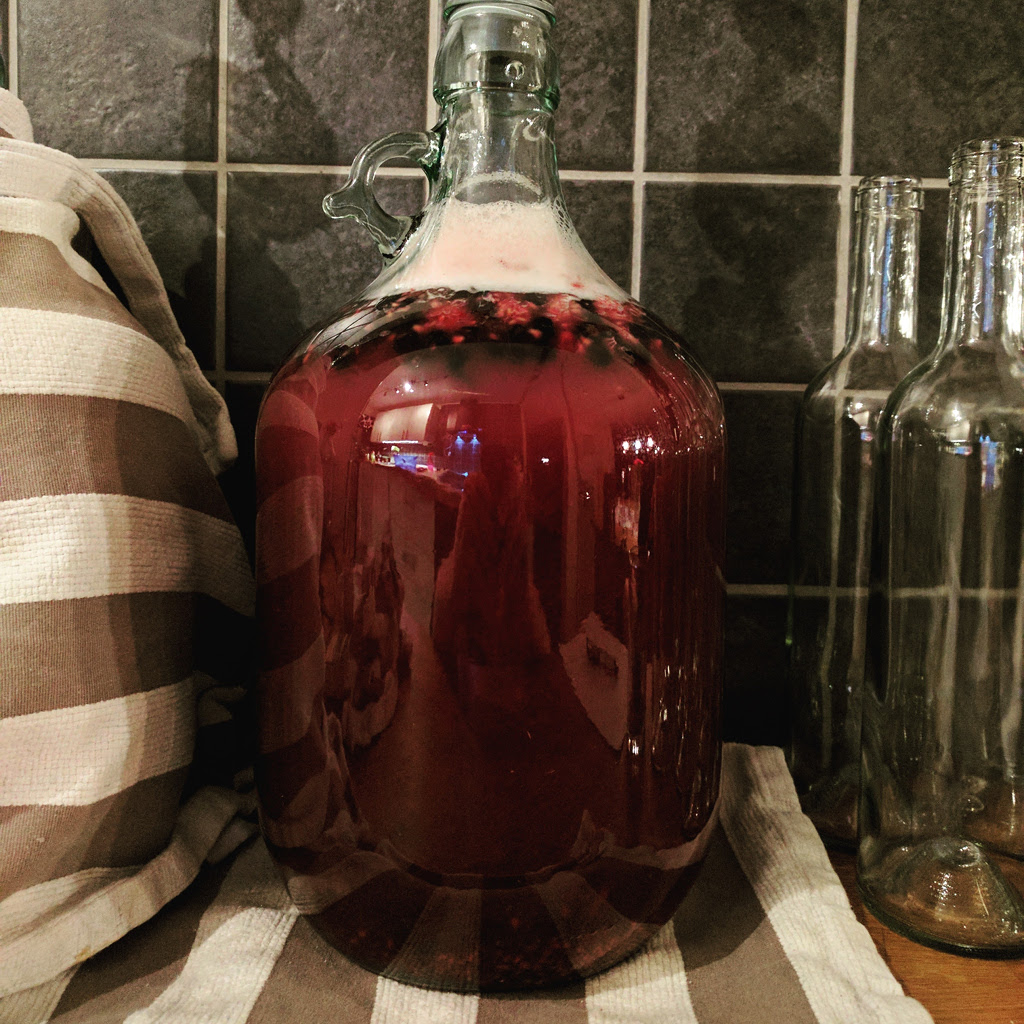 Raspberry Mead Recipe Bryont Blog