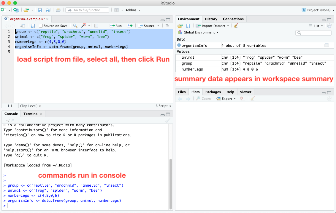 Create Dataframe In R From Vectors