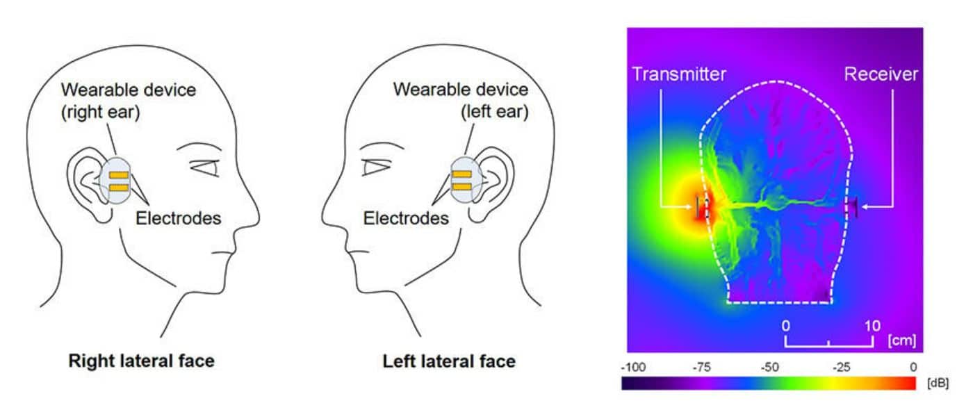 Scientists Explore HumanBody Communications with Binaural Hearing Aids